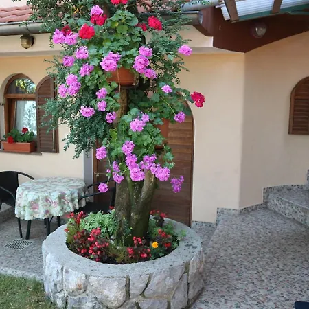 Komel Opatija